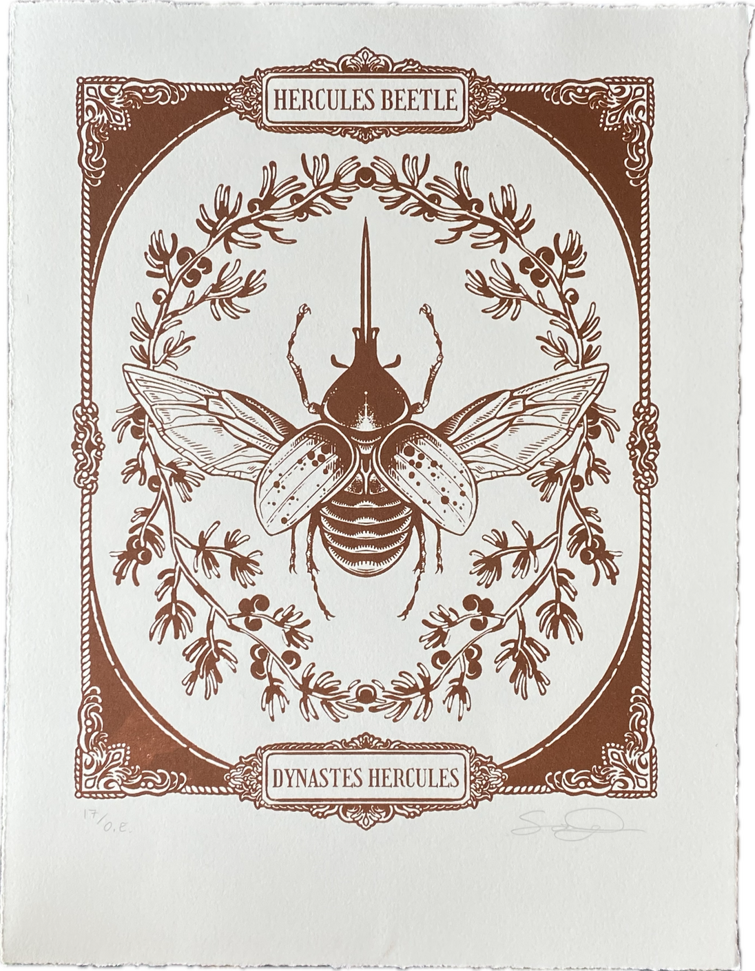 Hercules Beetle, Screen-print, 2025.