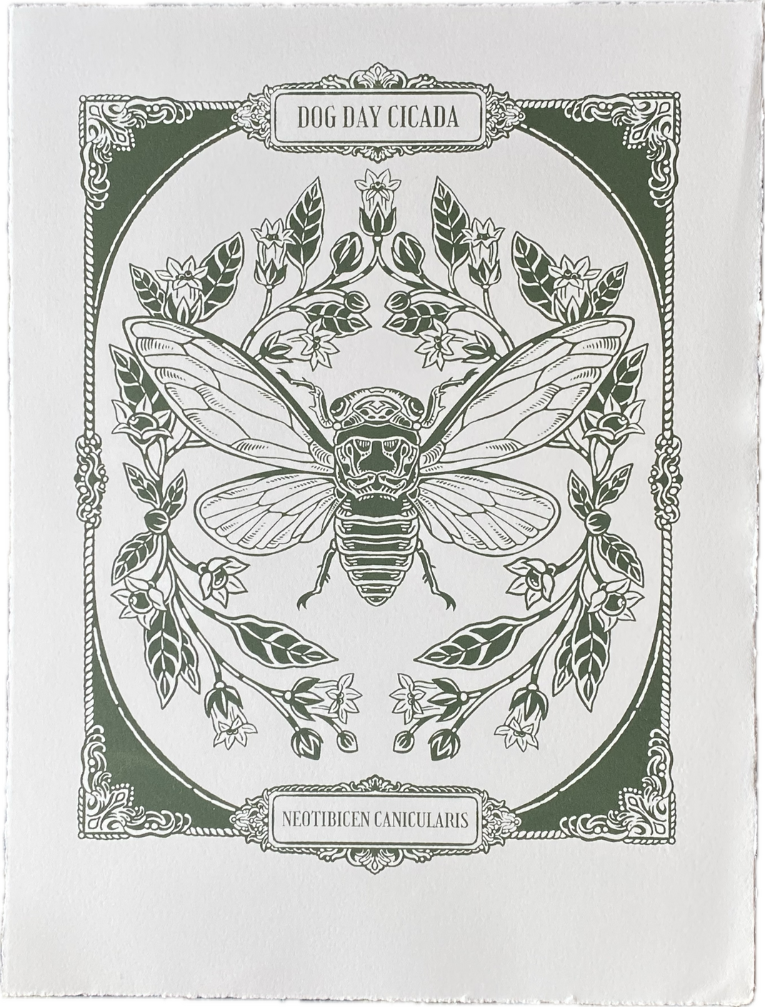 Dog Day Cicada, Screen-print, 2025.